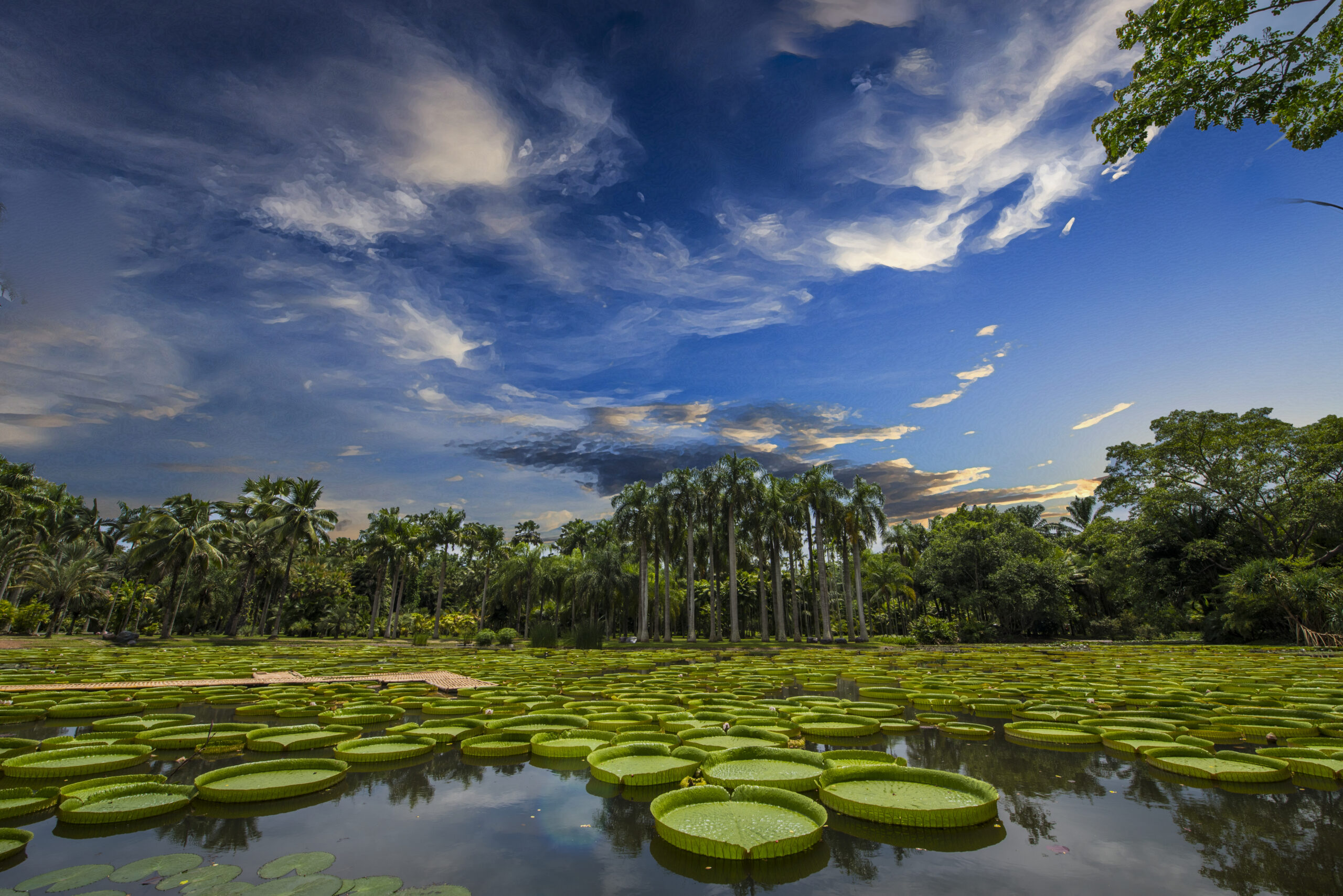 Xishuangbanna Observatory 5